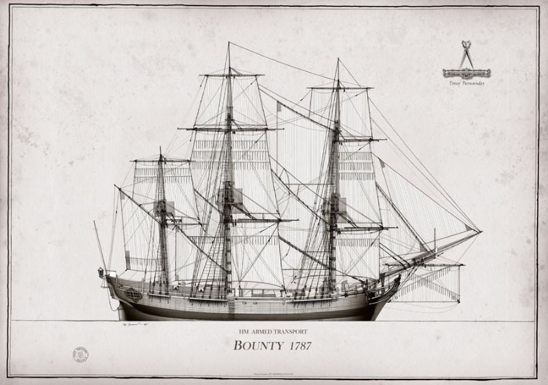 1787 HM Armed Transport Bounty pen ink study by Tony Fernandes